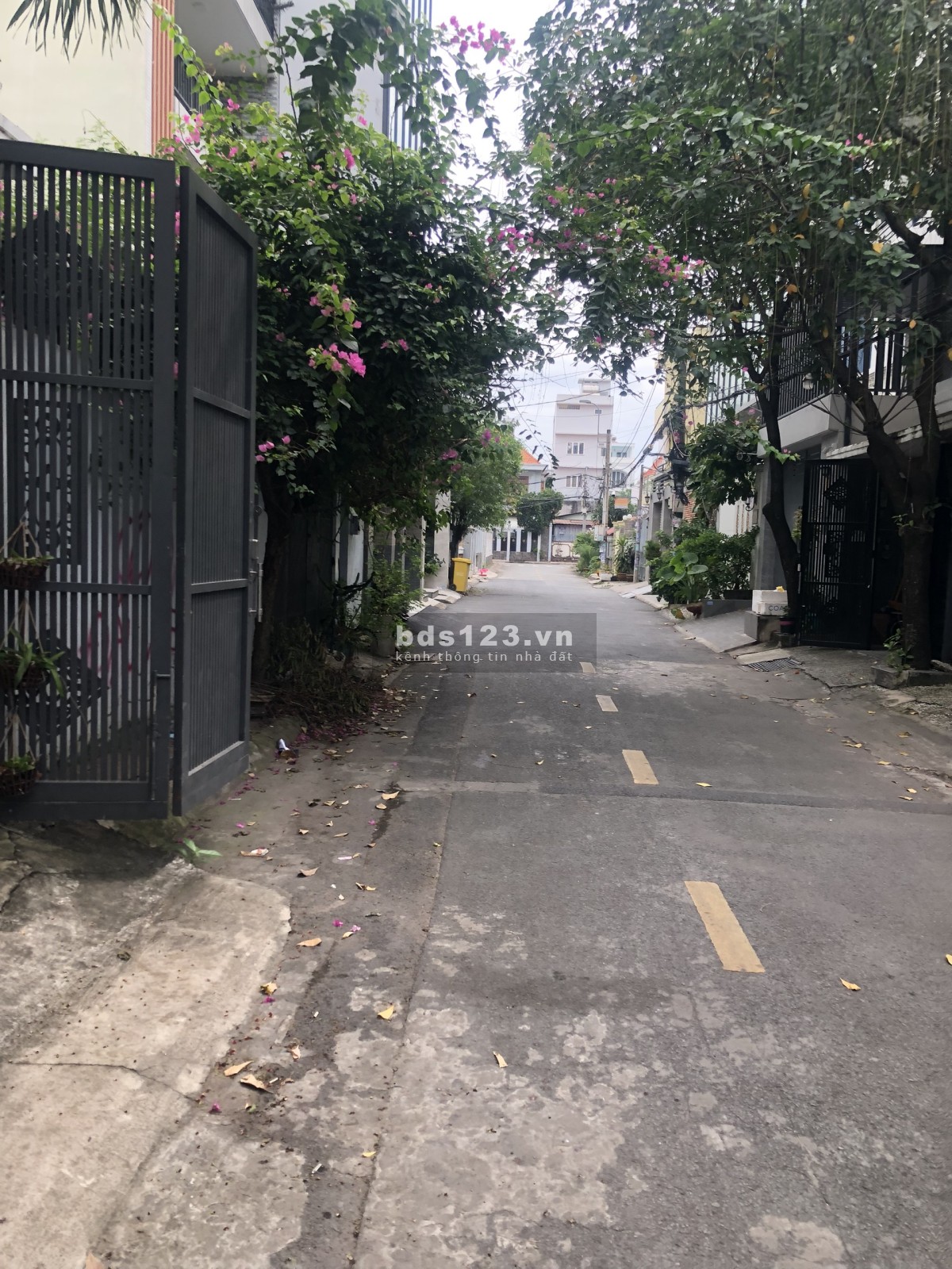 Cho thuê nguyên căn 5x18m. 1 trệt, 2 lầu, sân thượng, có chỗ đậu xe hơi