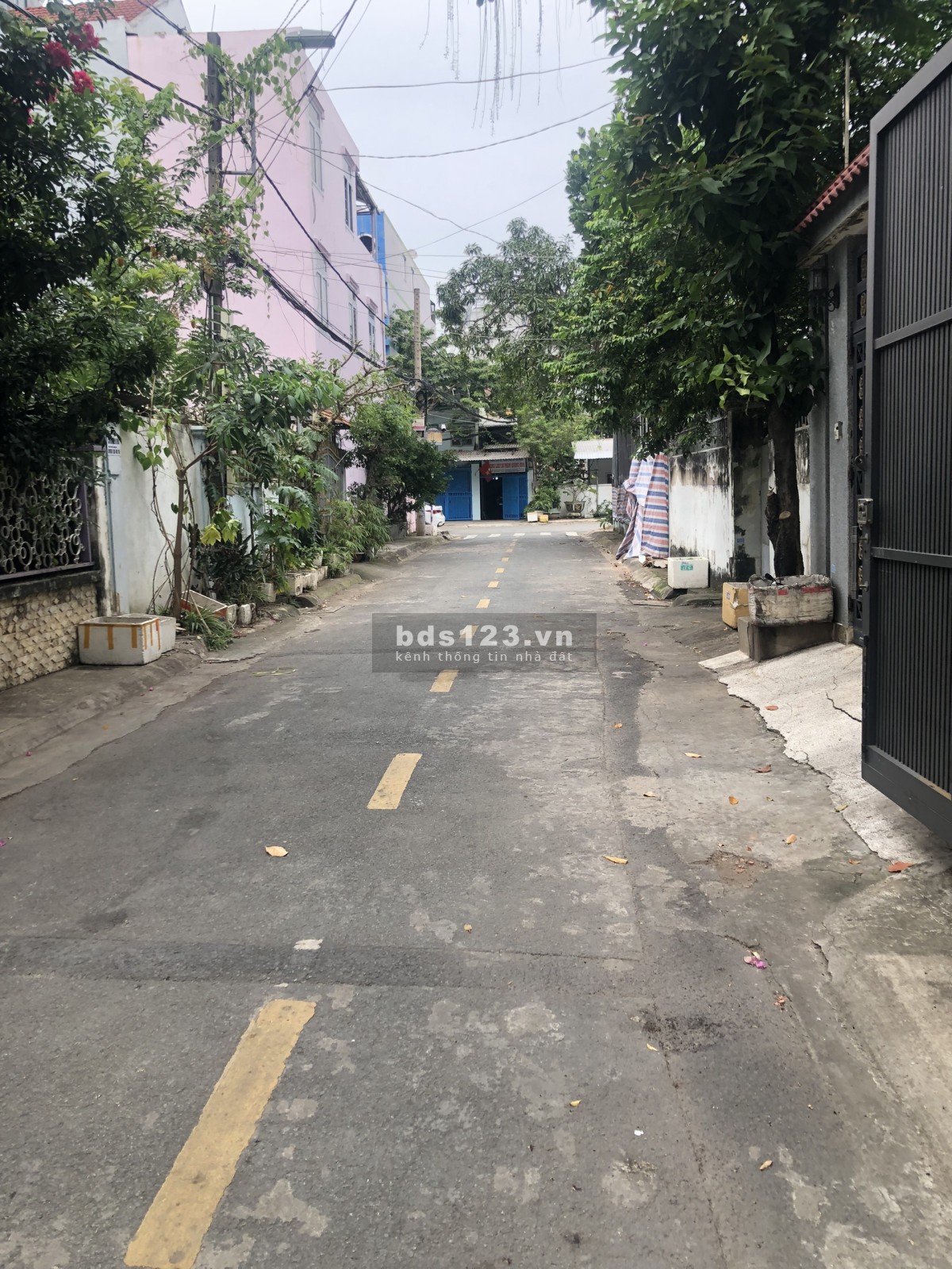 Cho thuê nguyên căn 5x18m. 1 trệt, 2 lầu, sân thượng, có chỗ đậu xe hơi