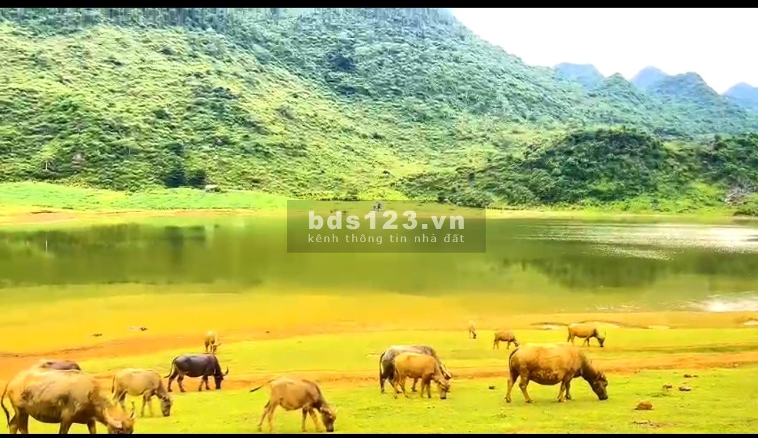 Bán đất nghỉ dưỡng bám hồ siêu đẹp ở Lạc Sơn, Hòa Bình. 5000m chỉ 2.2 tỷ