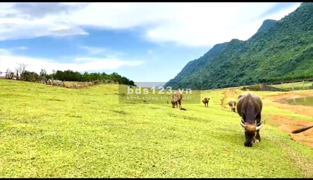 Bán đất nghỉ dưỡng bám hồ siêu đẹp ở Lạc Sơn, Hòa Bình. 5000m chỉ 2.2 tỷ