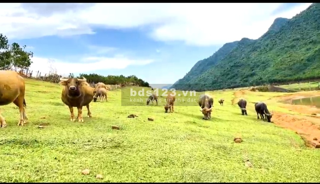 Bán đất nghỉ dưỡng bám hồ siêu đẹp ở Lạc Sơn, Hòa Bình. 5000m chỉ 2.2 tỷ