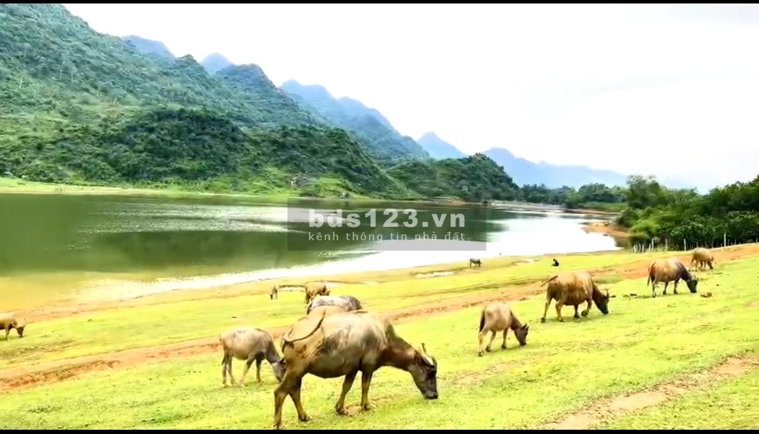 Bán đất nghỉ dưỡng bám hồ siêu đẹp ở Lạc Sơn, Hòa Bình. 5000m chỉ 2.2 tỷ
