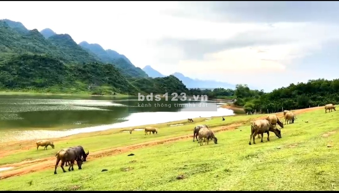 Bán đất nghỉ dưỡng bám hồ siêu đẹp ở Lạc Sơn, Hòa Bình. 5000m chỉ 2.2 tỷ