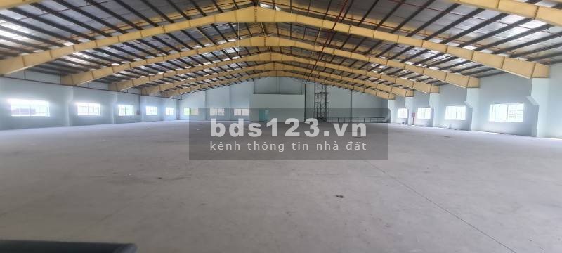 Cho thuê kho 6000m2 Cụm KCN Hoàng Gia, Mỹ Hạnh Nam, Đức Hoà, Long An