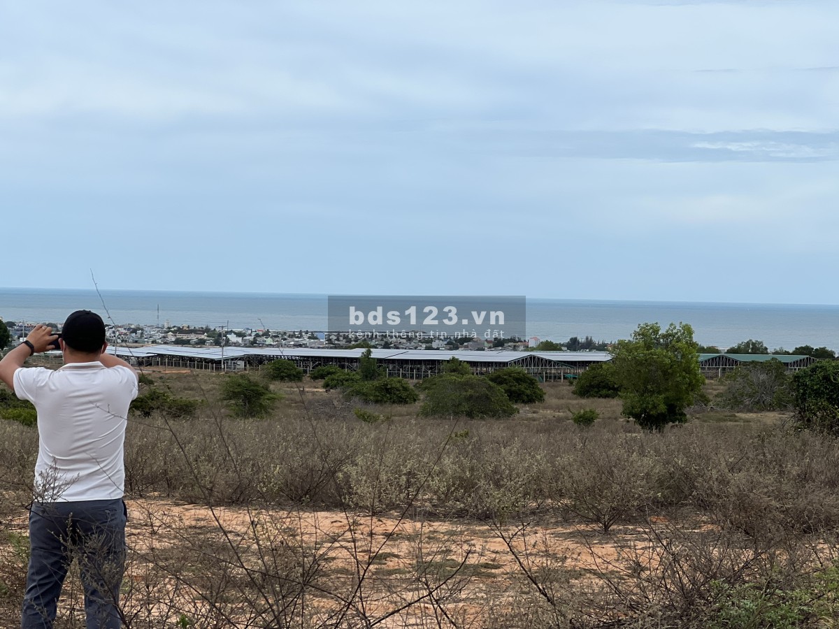 Trời ơi! Sao lại có lô đất view biển đẹp mà rẻ như vậy? 3000m2 mà chỉ có 790 tr