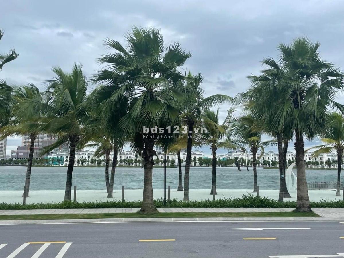 Bán biệt thự đơn lập Hải Âu 1 đối diện quảng trường Cá Voi Vin Gia Lâm (0985 941 715)