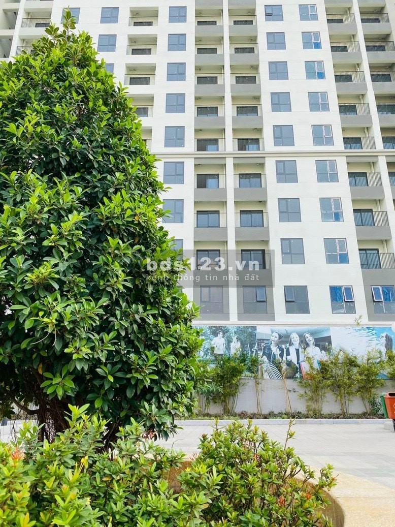 Căn hộ chính chủ Bcons Plaza cho thuê giá 5 triệu/tháng (miễn phí 1 năm phí quản lý + 2 xe máy)