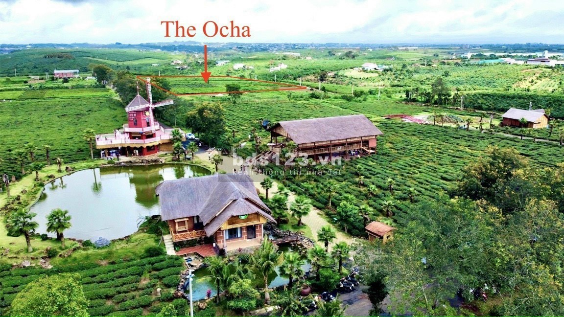 Bất động sản nghỉ dưỡng cao cấp hot nhất hiện nay The Ocha Bảo Lộc