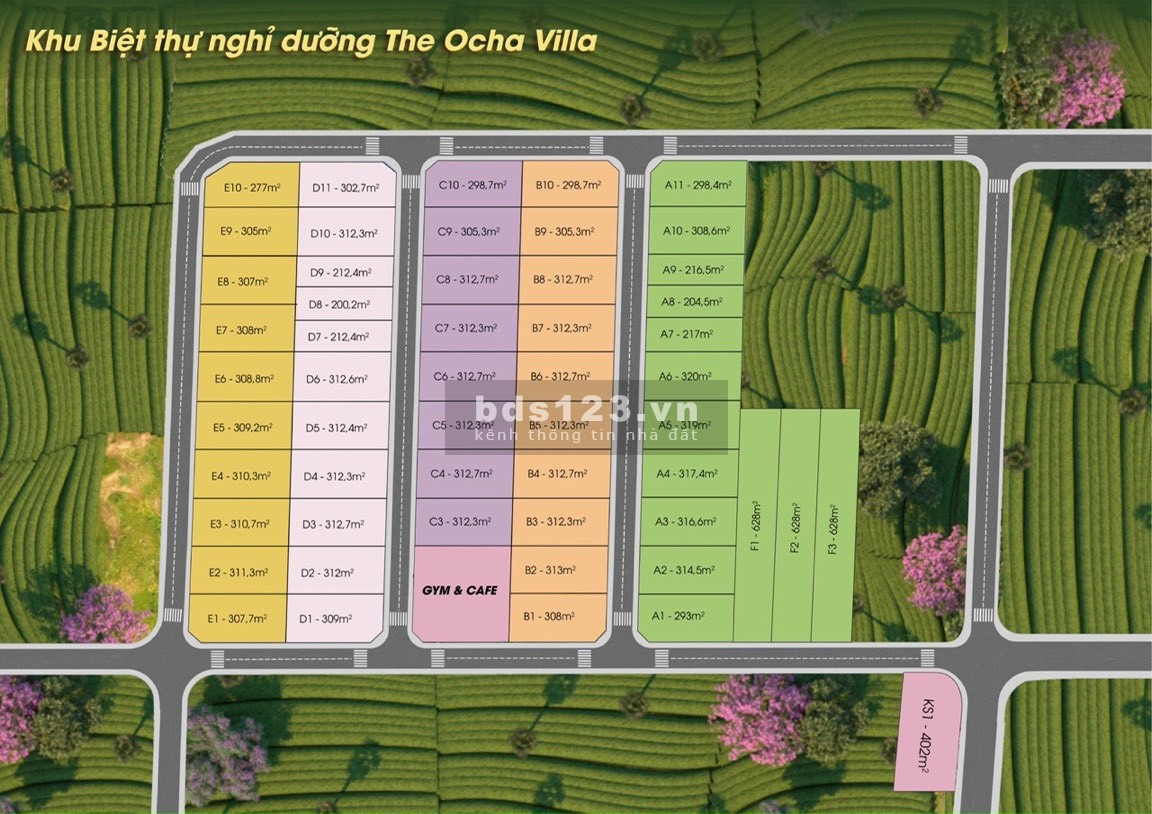 Bất động sản nghỉ dưỡng cao cấp hot nhất hiện nay The Ocha Bảo Lộc