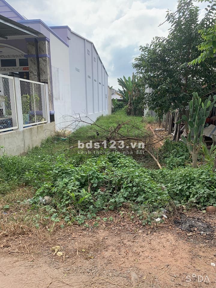 380 triệu sỡ hữu ngay 250m2 đất thổ cư Tây Ninh sát bên đường lộ DT784