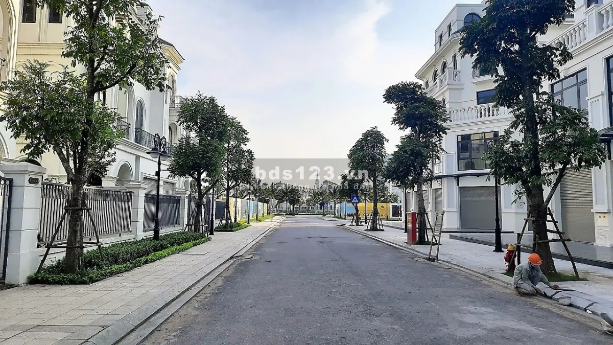 Bán nhà biệt thự song lập Sao Biển, DT 150m² đường thông 22,8 tỷ Vin Gia Lâm (0985941715)