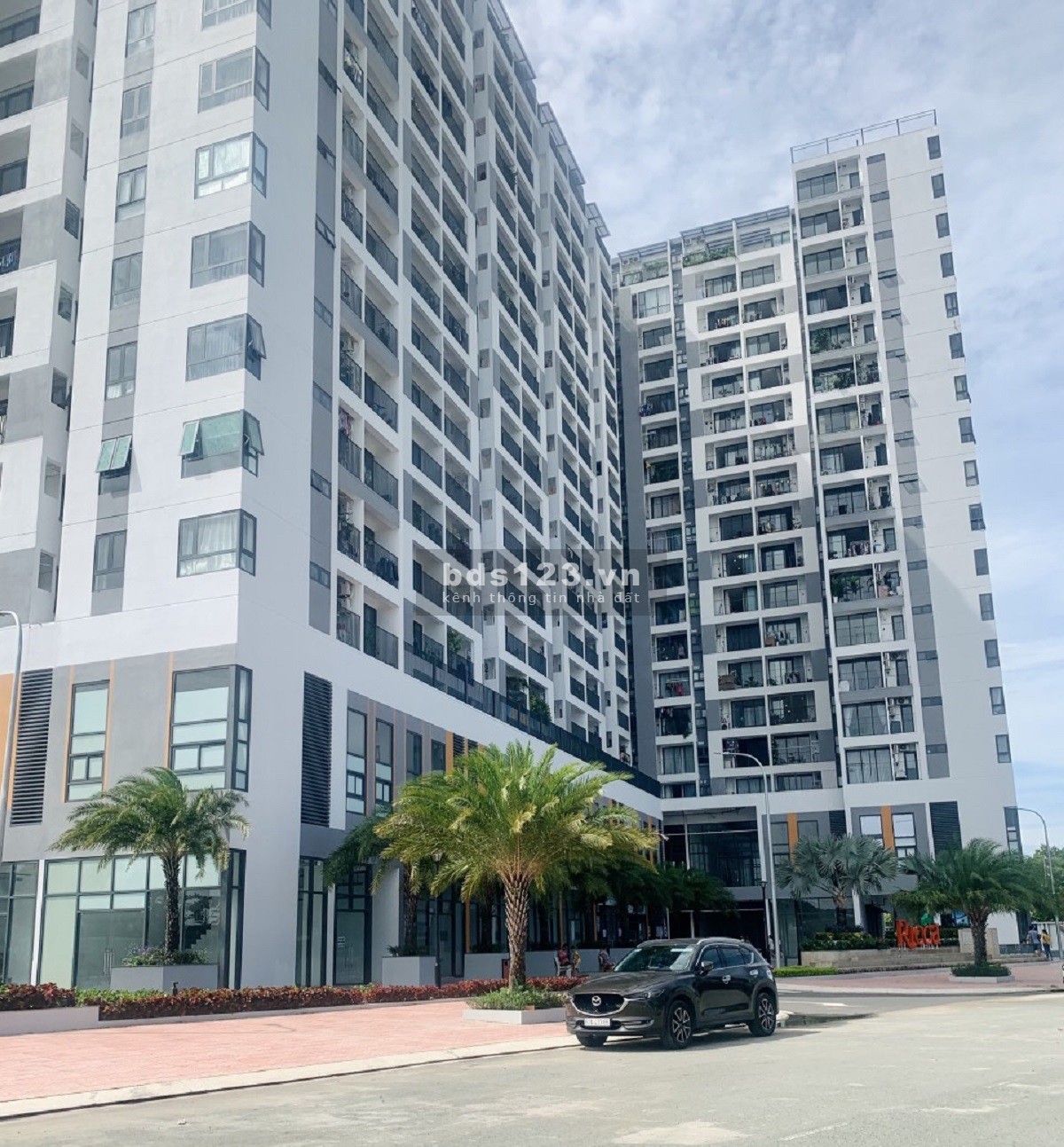 Chủ bán căn hộ Ricca quận 9: 1+1PN = 58m2, PENTHOUSE 3PN = 115m², GIÁ 33 triệu/m², nhà mới, sổ đỏ