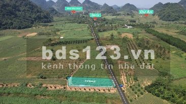 Một Lô Đất Vừa Tầm tài Chính Của Nhiều Nhà Đầu Tư
