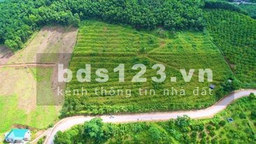 Lô đất bám đường nhựa view đẹp làm nghỉ dưỡng tại Kim Bôi