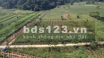 Một Lô Đất Vừa Tầm tài Chính Của Nhiều Nhà Đầu Tư