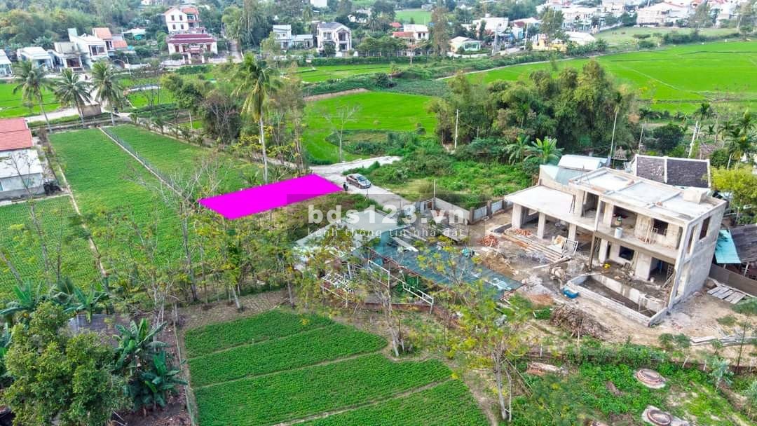 Thôn Tân Hạnh, Hòa Phước, Đà Nẵng giá đầu tư sinh lời cao