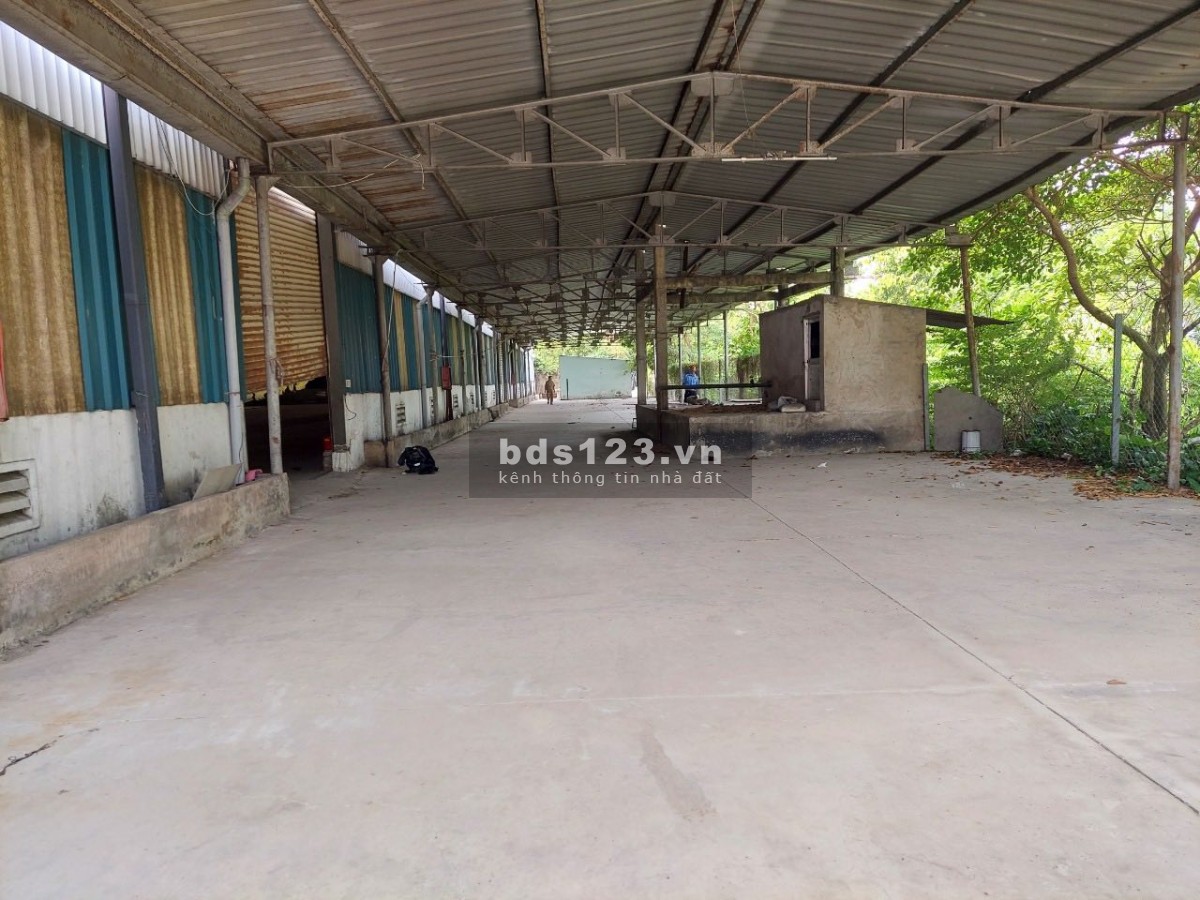 Cho thuê kho 4000m2 dt 743B, Bình Hoà, Thuận An, Bình Dương