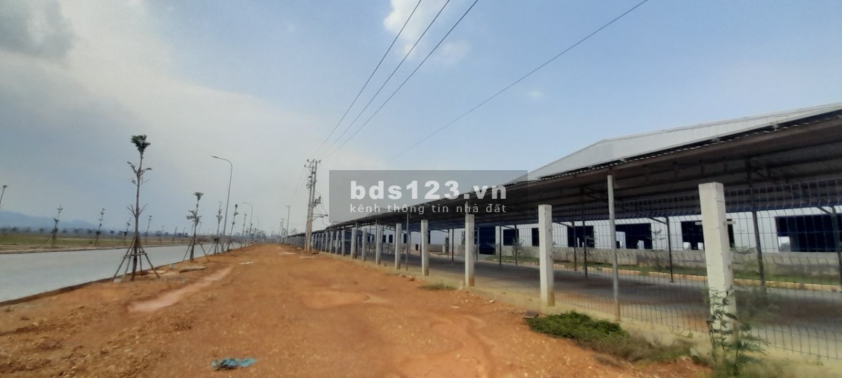 Cho thuê nhà xưởng An Thanh khu công nghiệp Tam Anh, Hàn Quốc