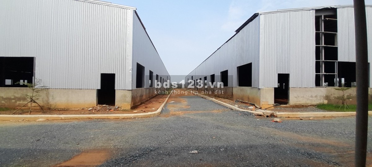 Cho thuê nhà xưởng An Thanh khu công nghiệp Tam Anh, Hàn Quốc