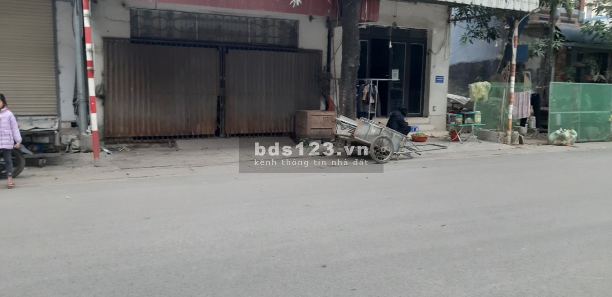 Chính chủ cho thuê nhà trục chính Vai réo, cách qlo 21A 50m