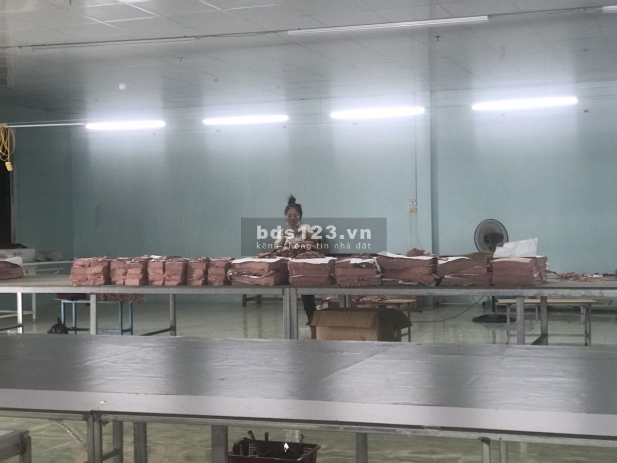 Chính chủ cần bán gấp nhà xưởng may mặc diện tích 5000m2 giá tốt