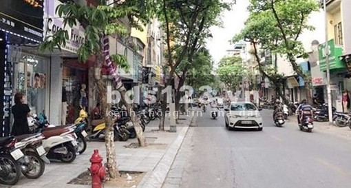 Bán nhà mặt phố Ba Đình, vị trí trung tâm, 55m2, giá 12 tỷ..