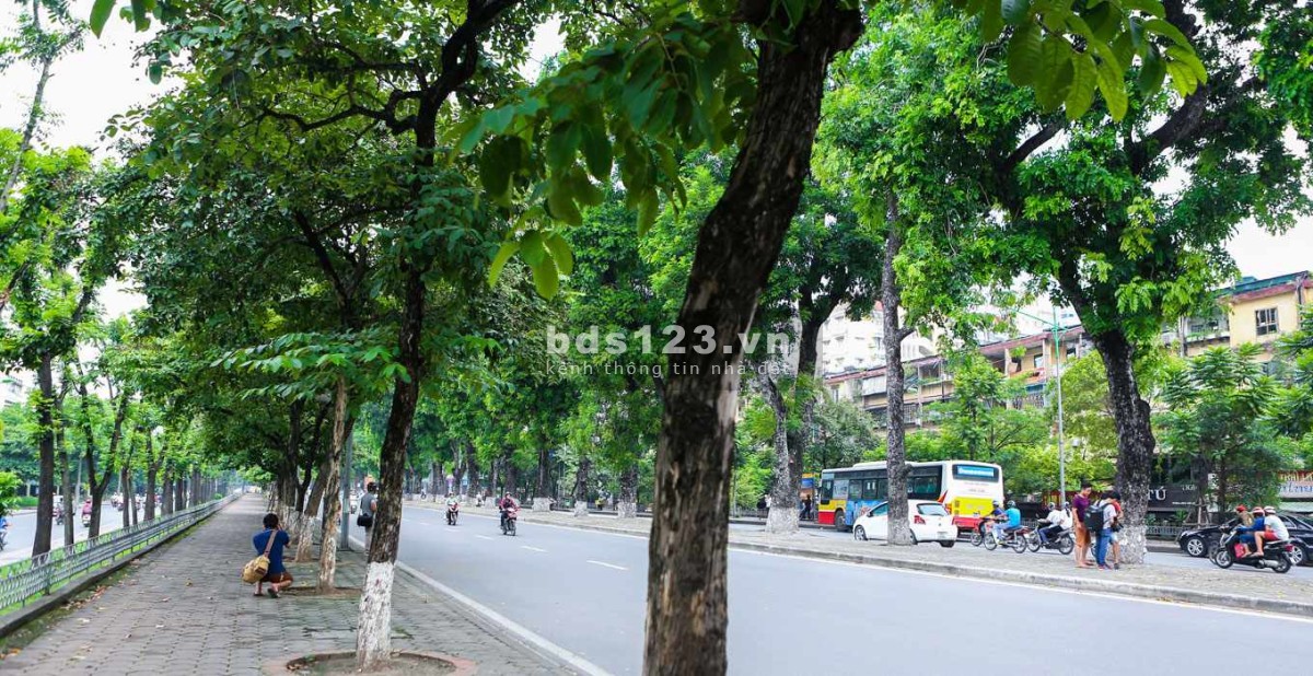 Bán nhà phường Ngọc Khánh, ô tô đỗ cửa, lô góc, 52m giá 6.5 tỷ.