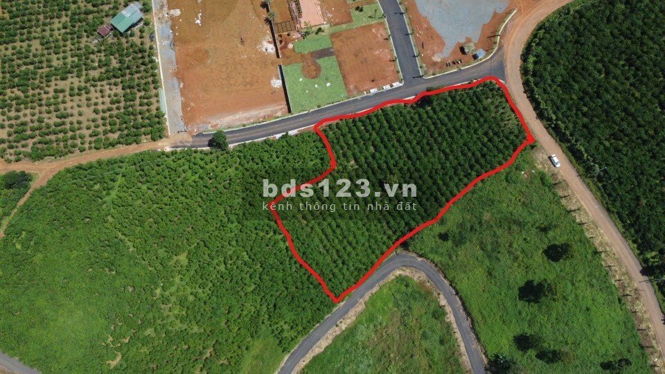 Bán đất nền dự án nghỉ dưỡng gần trung tâm thành phố