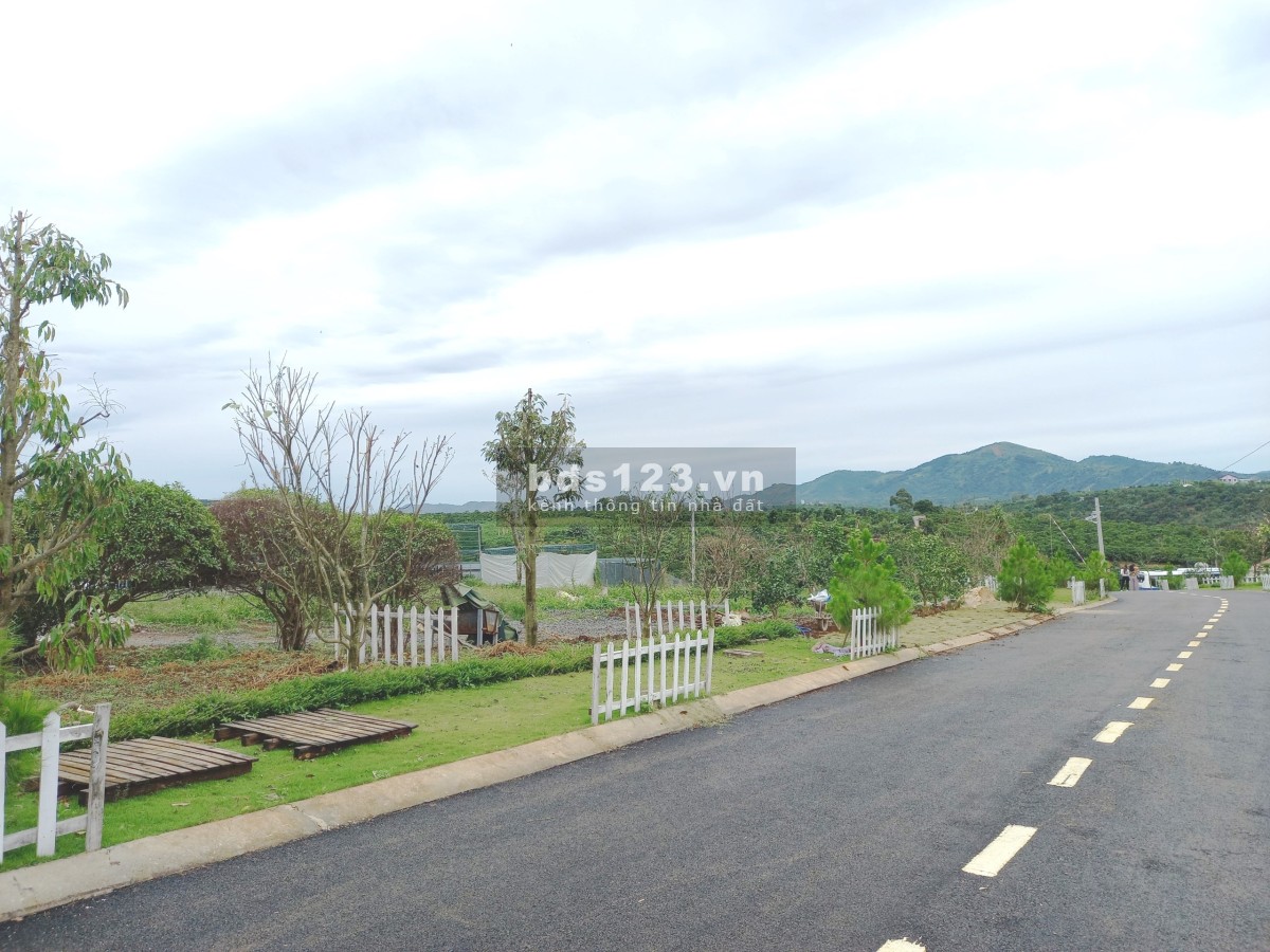 Bán đất thành phố Bảo Lộc giá chỉ từ 1 tỷ, SHR, view săn mây, thích hợp xây nhà ngay hoặc cho thuê
