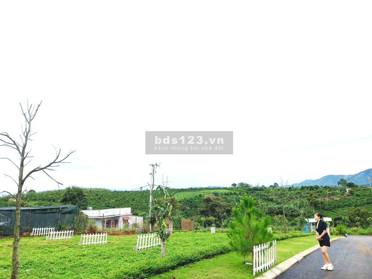Bán đất thành phố Bảo Lộc giá chỉ từ 1 tỷ, SHR, view săn mây, thích hợp xây nhà ngay hoặc cho thuê