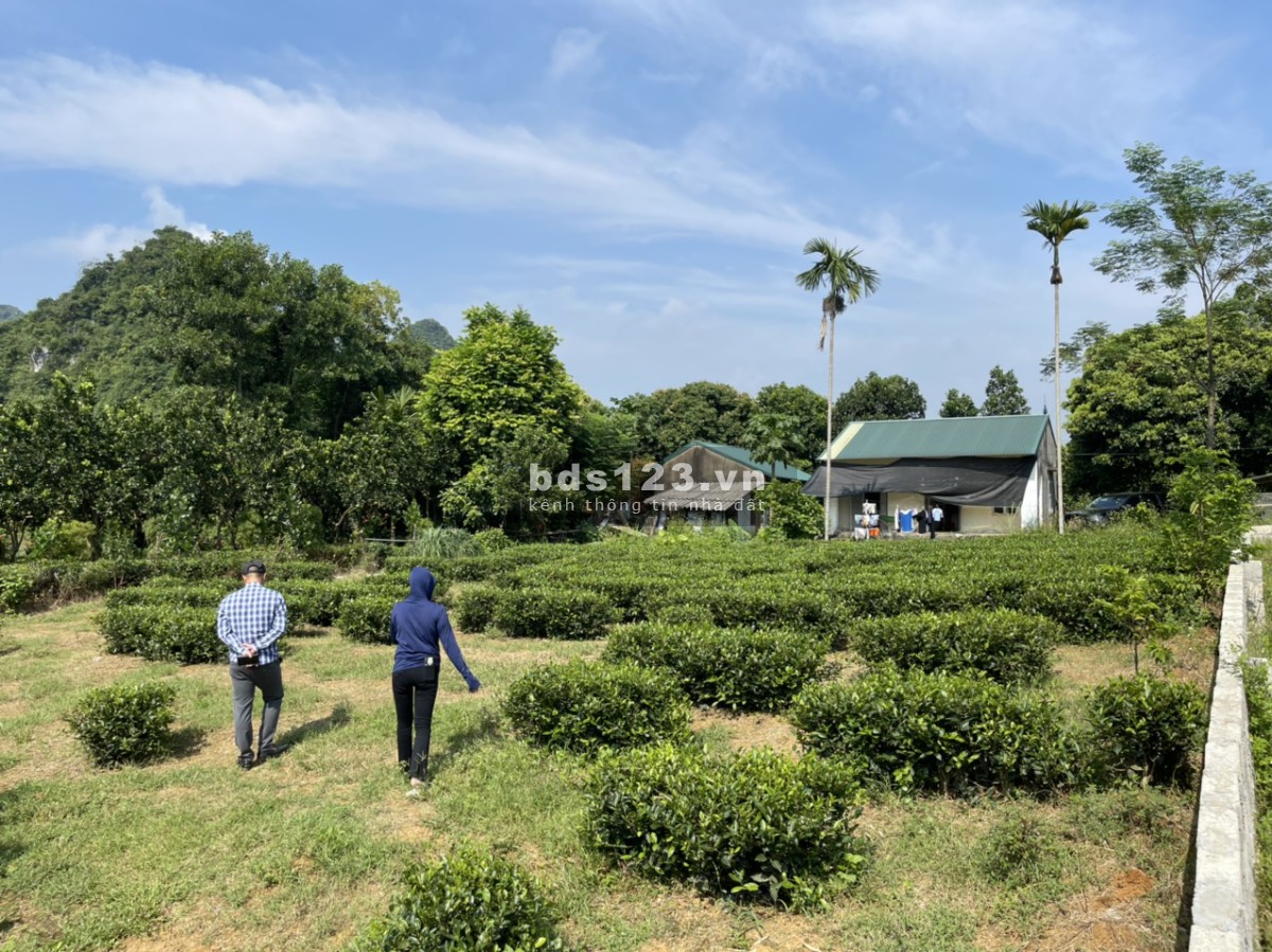Bán đất chính chủ view hồ tại Lạc Thủy, Hòa Bình, giá chưa đến 1 tỷ