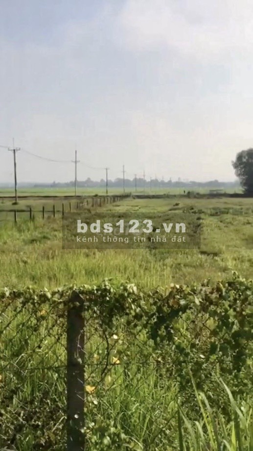 Cho thuê đất dài hạn DT 4.567m², mặt tiền đường Trung Lập, Củ Chi, TPHCM