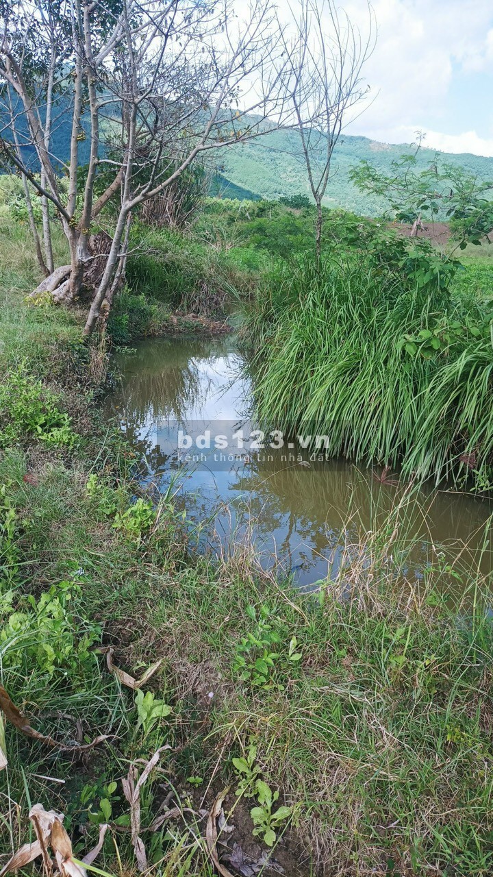 Bán đất vườn Ninh Thượng, Ninh Hoà, có sổ hồng, giá chỉ 1,1 tỷ, DT 10.000m²