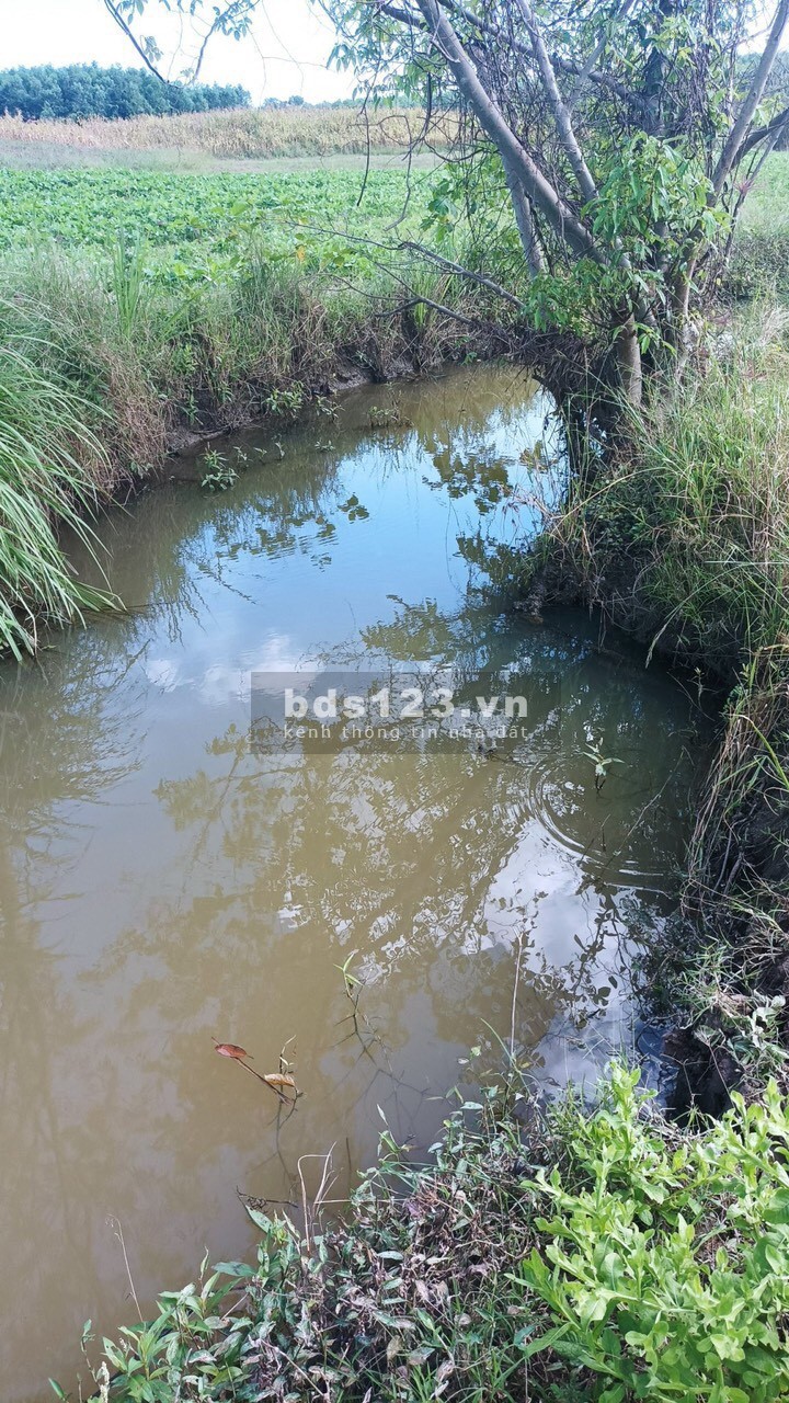 Bán đất vườn Ninh Thượng, Ninh Hoà, có sổ hồng, giá chỉ 1,1 tỷ, DT 10.000m²