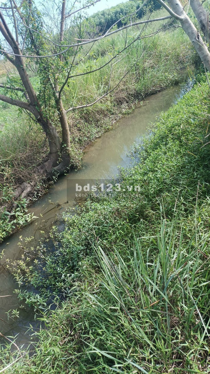 Bán đất vườn Ninh Thượng, Ninh Hoà, có sổ hồng, giá chỉ 1,1 tỷ, DT 10.000m²
