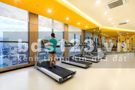 Cho thuê căn hộ Officetel view đẹp lầu cao, diện tích 30m², ưu đãi giá tốt