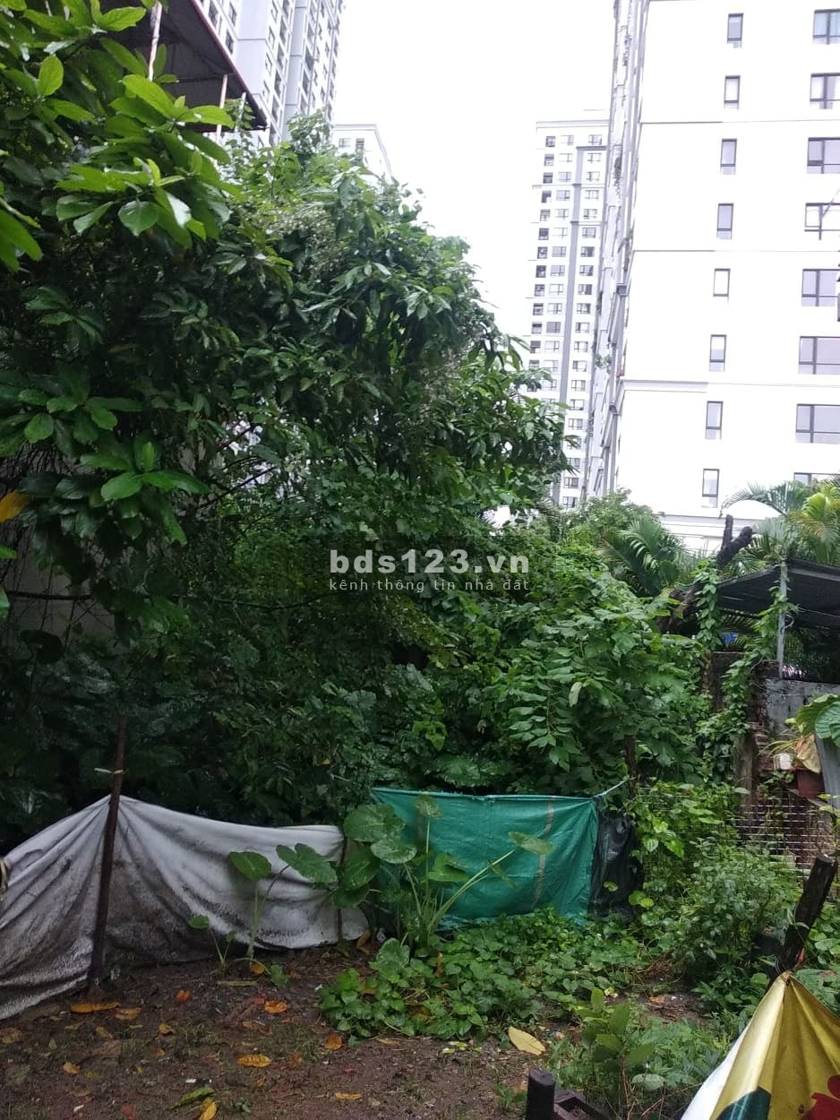 Bán đất vàng xây biệt thự cạnh KĐT Times City, giá 67 triệu/m² - Cơ hội hiếm có cho các CĐT