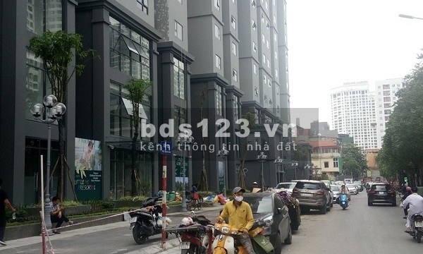 Bán đất vàng xây biệt thự cạnh KĐT Times City, giá 67 triệu/m² - Cơ hội hiếm có cho các CĐT