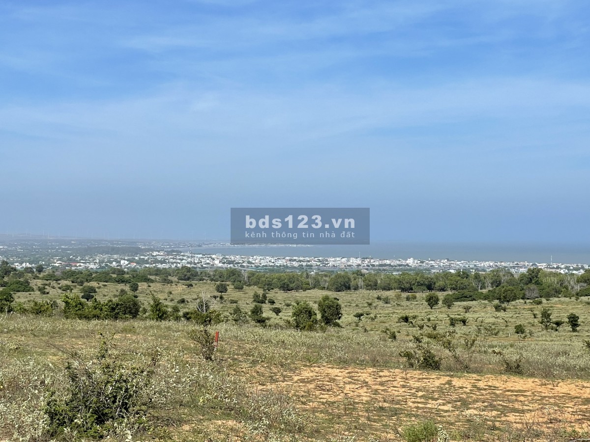 Đầu năm mở bát - bung lô view biển như hình 2000m2 - giá 280tr/1000m2