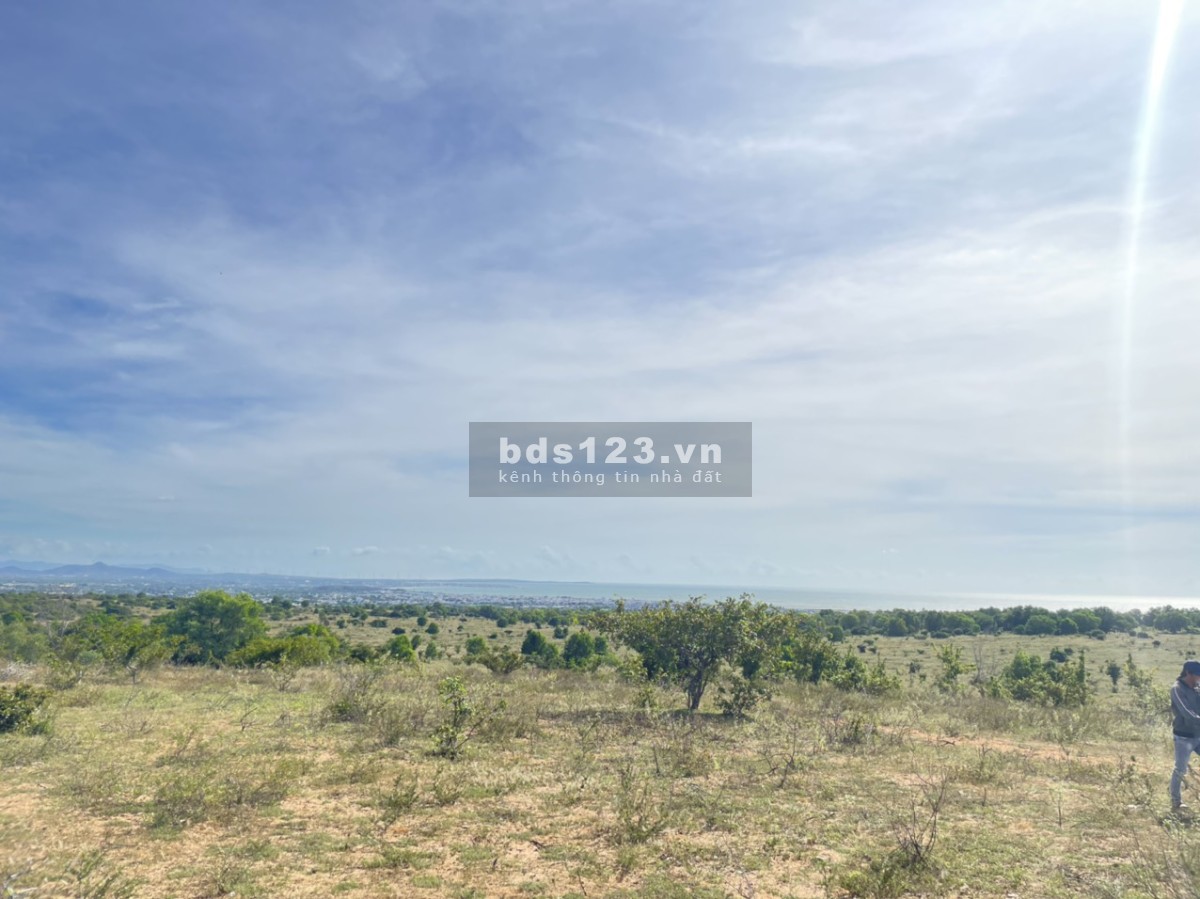 Đầu năm mở bát - bung lô view biển như hình 2000m2 - giá 280tr/1000m2