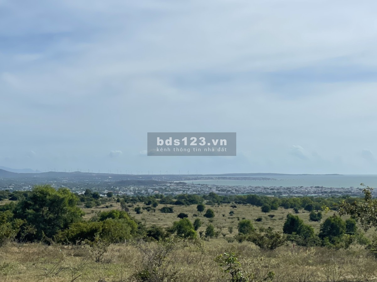Đầu năm mở bát - bung lô view biển như hình 2000m2 - giá 280tr/1000m2