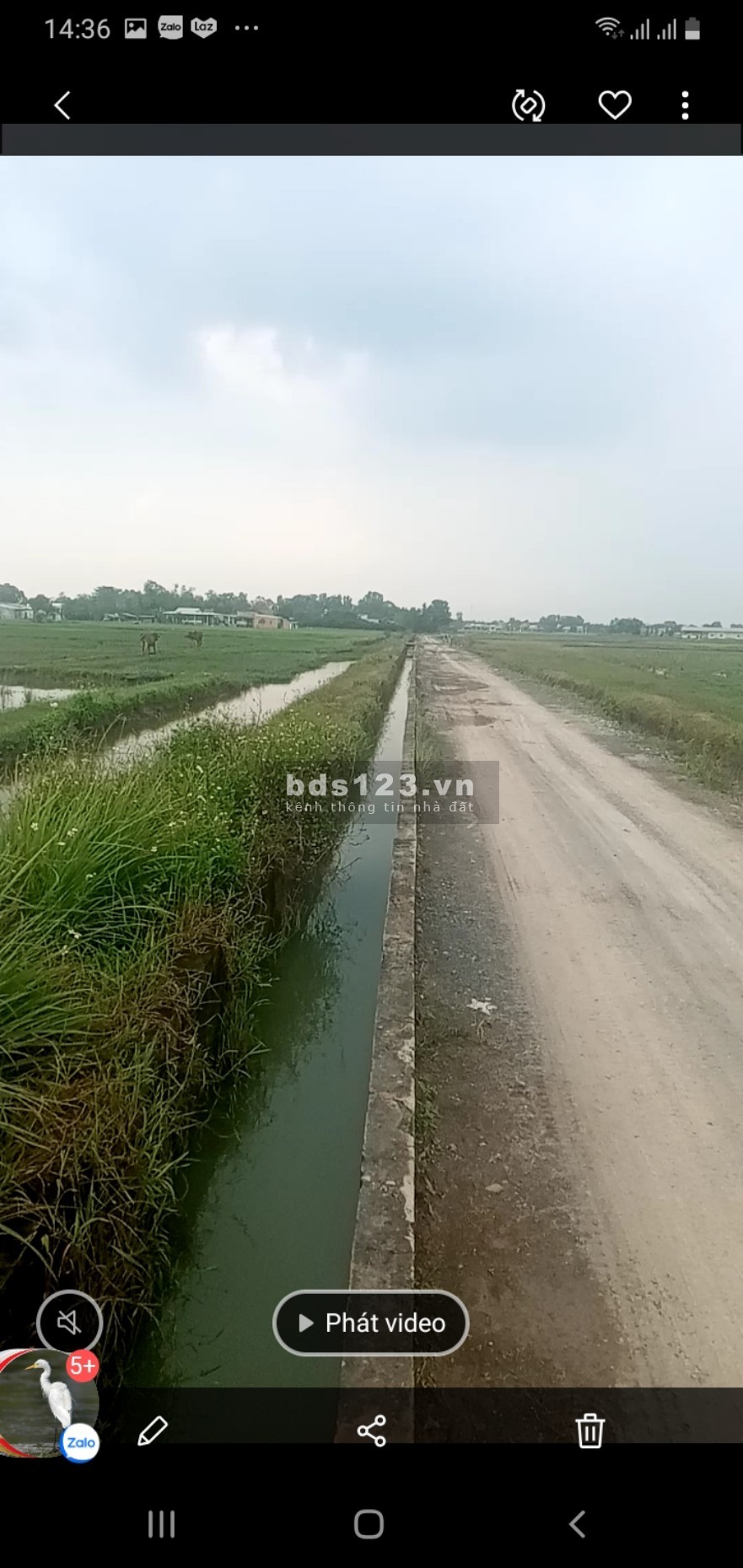 Cần bán lô đất ruộng tìm năng cao, giá tốt, đầu tư sinh lời