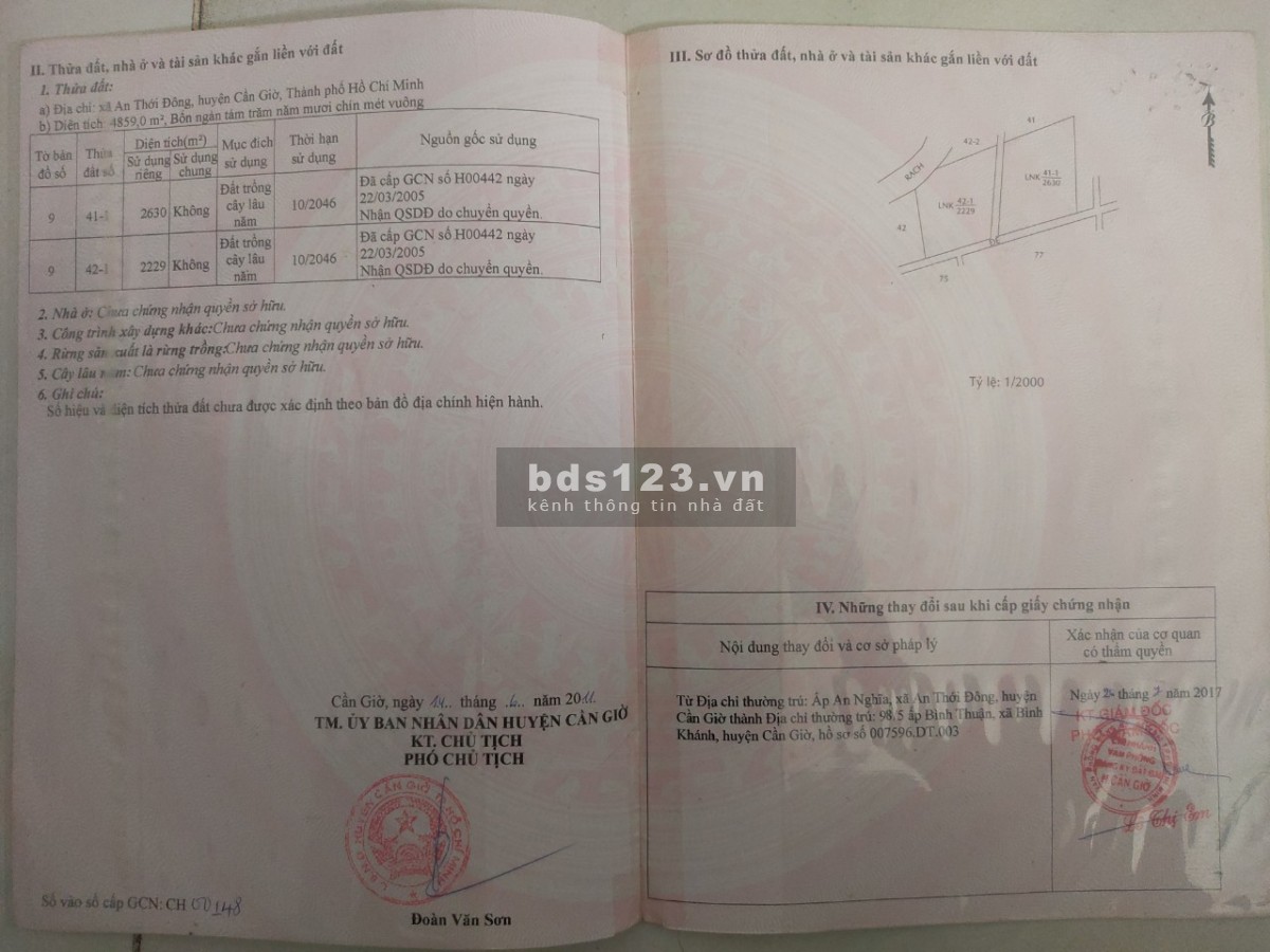 Bán đất trồng cây lâu năm MT Rừng Sác Ấp An Nghĩa xã An Thới Đông huyện Cần Giờ