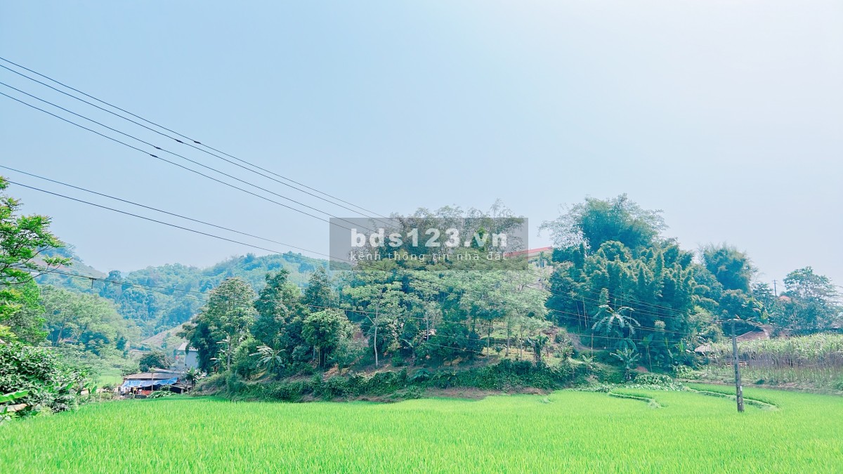 Bán đất Kỳ Sơn - Hòa Bình chính chủ có view ruộng bậc thang, DT 1.720m² sổ sẵn chính chủ
