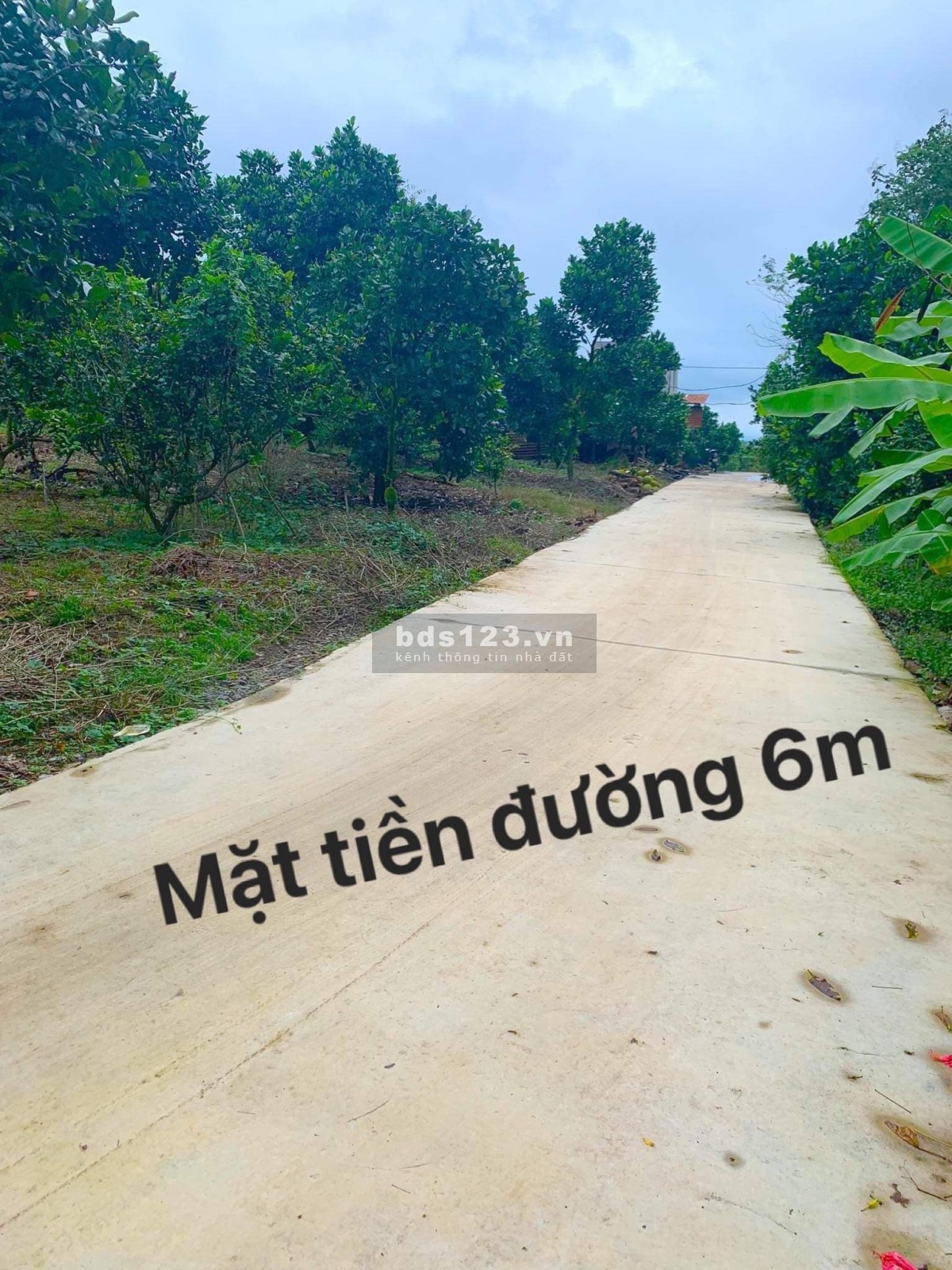 Cần bán đất vườn mít Ngọc Định, Định Quán, Đồng Nai chỉ 685tr/1000m2 có sổ hồng riêng
