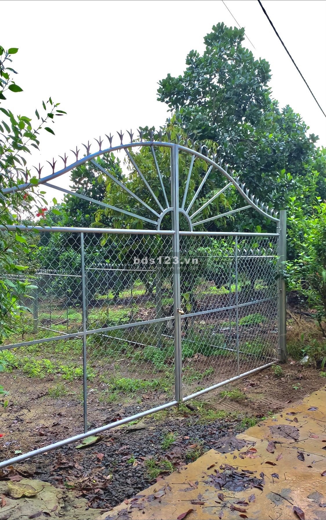 Cần bán đất vườn mít Ngọc Định, Định Quán, Đồng Nai chỉ 685tr/1000m2 có sổ hồng riêng