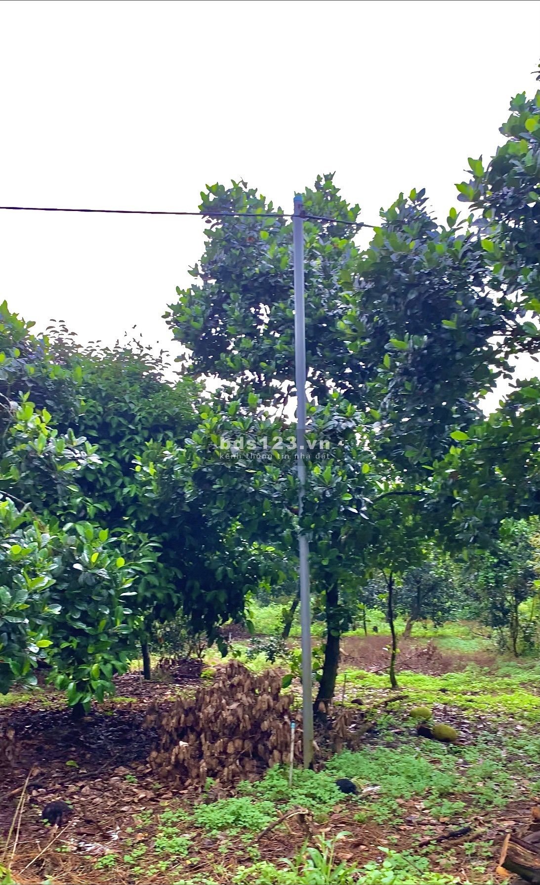 Cần bán đất vườn mít Ngọc Định, Định Quán, Đồng Nai chỉ 685tr/1000m2 có sổ hồng riêng