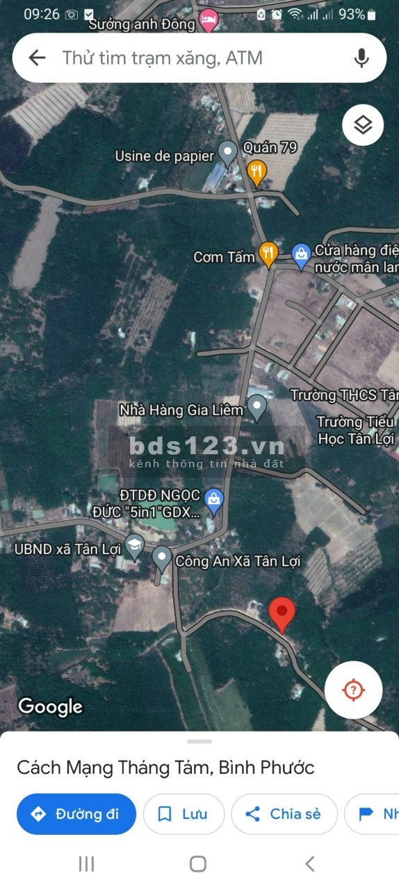Chính chủ cần bán 300m2 đất giá ngộp tại xã Tân Lợi huyện Đồng Phú