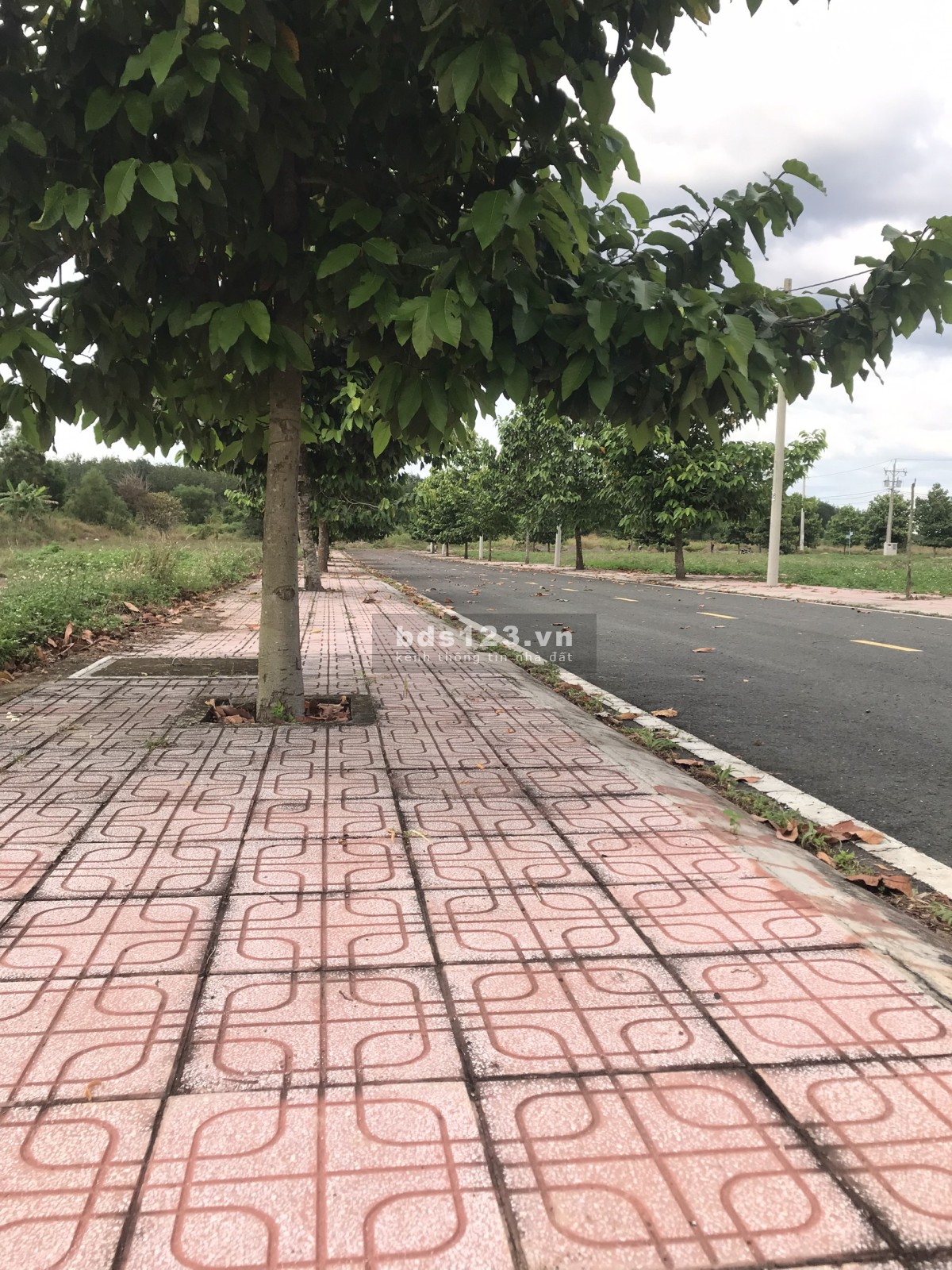 Bán đất thổ cư khu hành chính mới của Thành phố Đồng Xoài, giá không tới 300 triệu