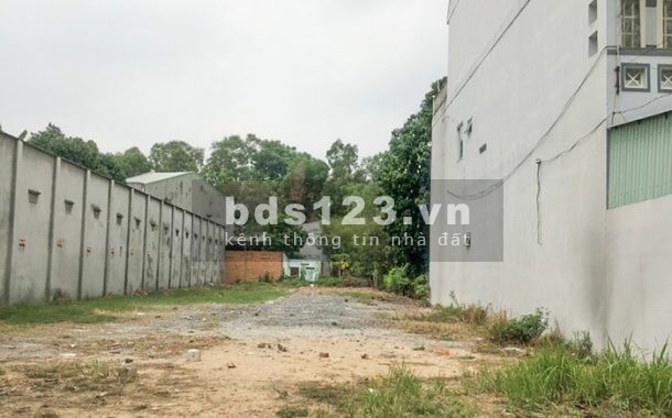 Bán đất chính chủ, DT 5 x 35m, SHR tại Hữu Thạnh, Đức Hòa giá 1,6 tỷ